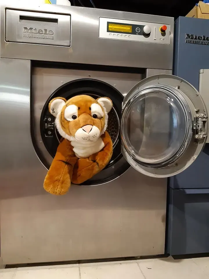 peluche